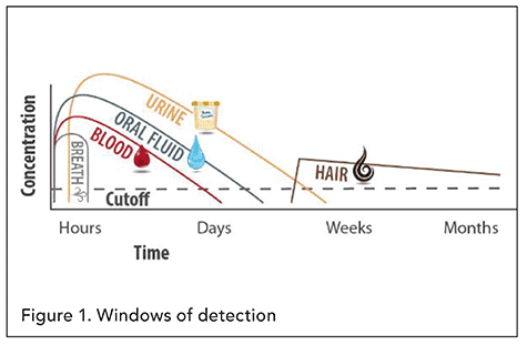 Figure 1. Windows of detection