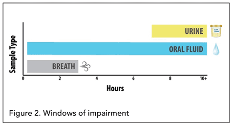Figure 2. Windows of impairment