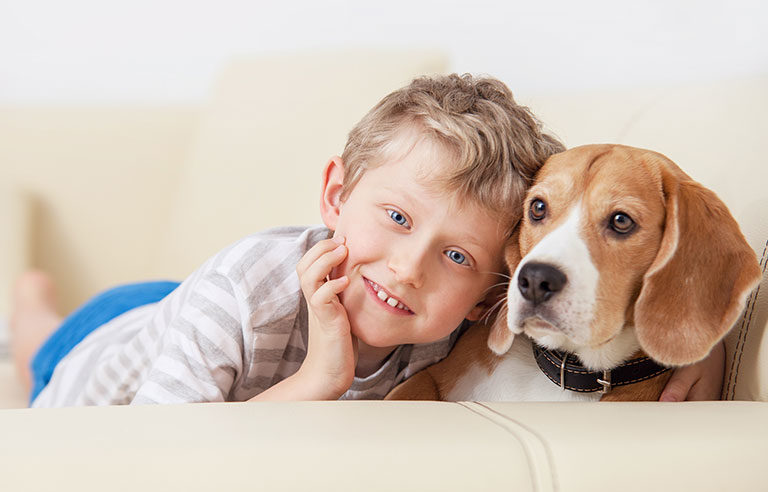 Researchers to parents: Keep pet medications away from kids | 2017-02 ...