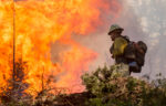 UCLA firefighter study