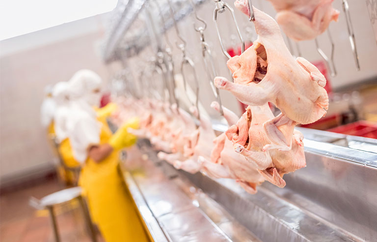 United States Department of Agriculture, Coalition protesting increased poultry-production line speeds meets with USDA
