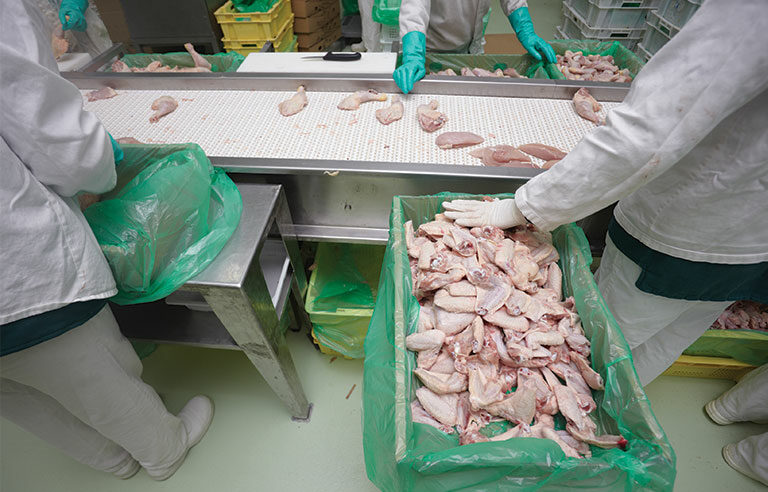 USDA: Faster meat-processing line speeds contribute to worker MSDs