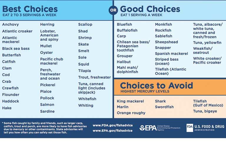 which-seafood-is-safe-for-pregnant-women-to-eat-new-chart-offers